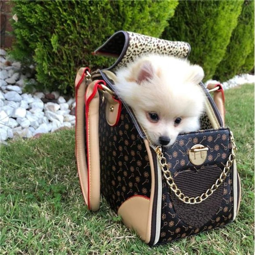 Luxury Pet Carrier, Puppy Small Dog Carrier, Cat Carrier Bag, Waterproof - Picture 8 of 8